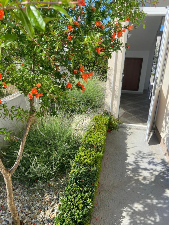 Apartman Danijela Vodice Zewnętrze zdjęcie